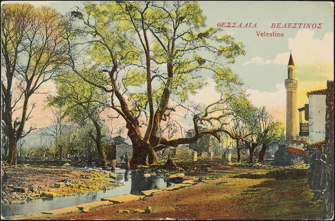 Lot 01519