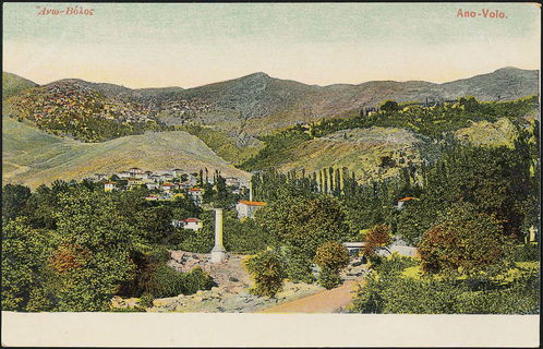 Lot 01556