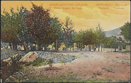 Lot 01511