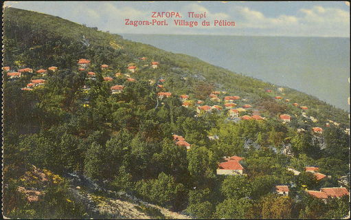 Lot 01569
