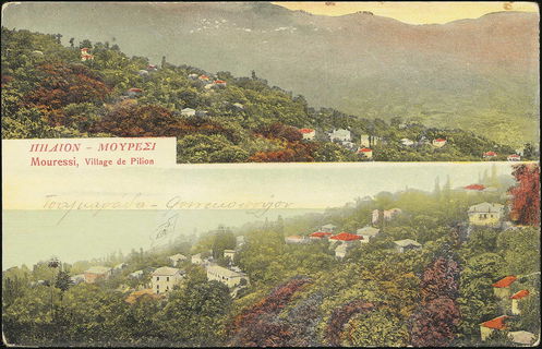 Lot 01429