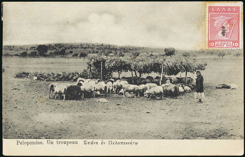 Lot 01426