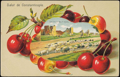 Lot 07423