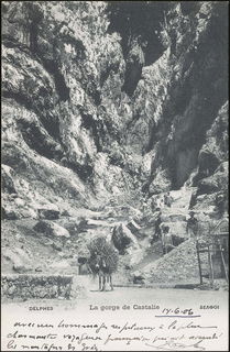 Lot 01565