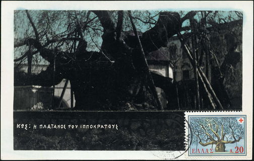Lot 06451
