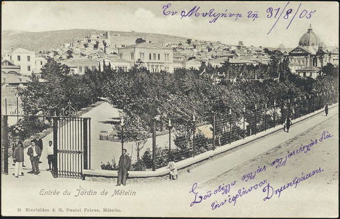 Lot 01303