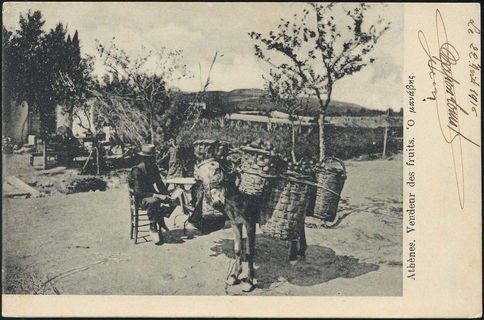 Lot 07010