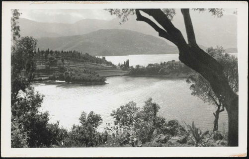 Lot 01547