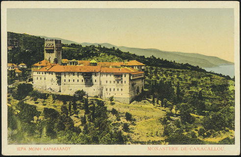 Lot 01525