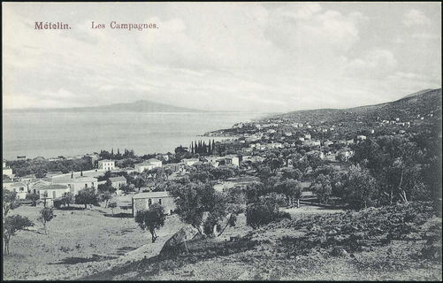 Lot 01299