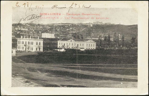 Lot 01557