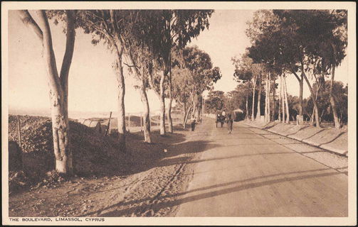 Lot 03099