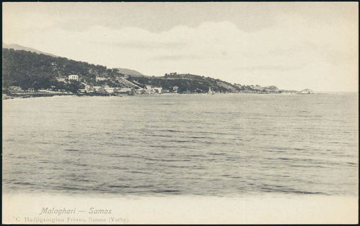 Lot 01313