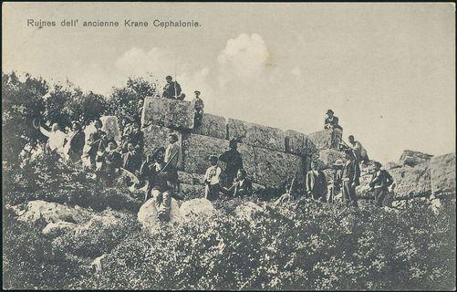 Lot 01481