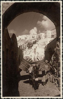 Lot 02256
