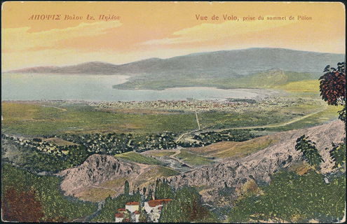 Lot 01499