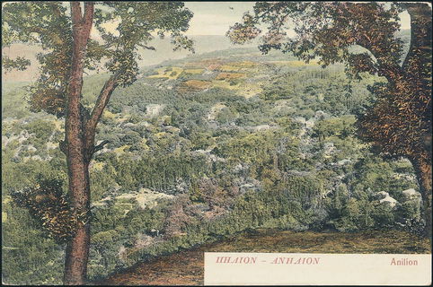 Lot 01505