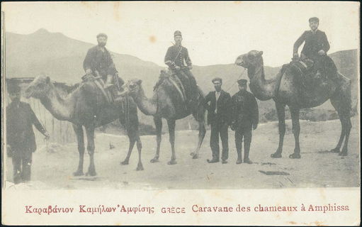 Lot 03131