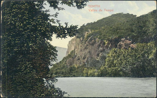 Lot 01617