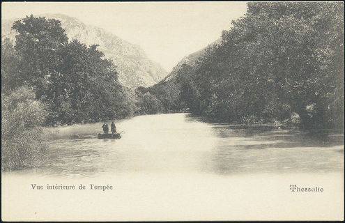 Lot 01437