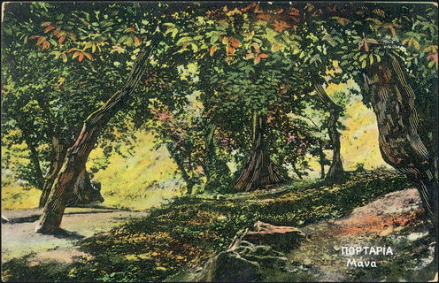 Lot 01453