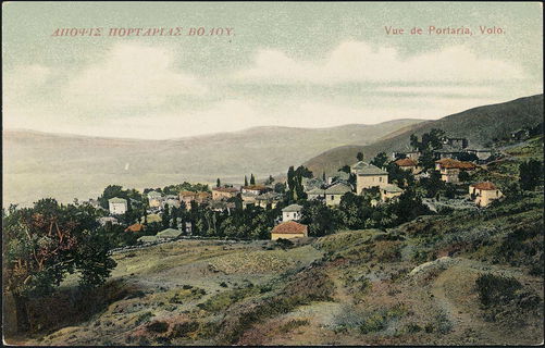 Lot 01451