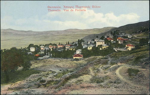 Lot 01565