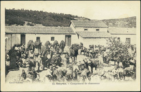 Lot 01679