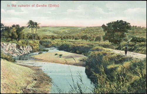 Lot 01325