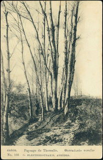 Lot 01520