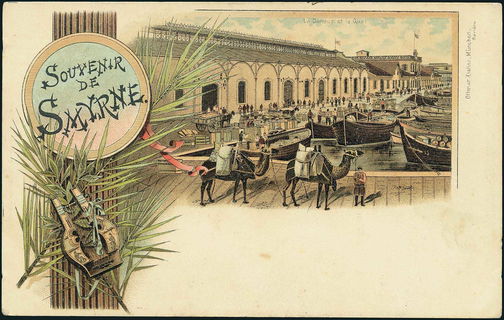 Lot 07536