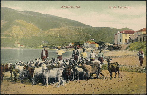 Lot 03155