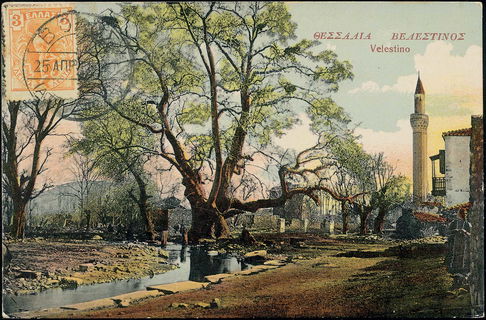 Lot 01428