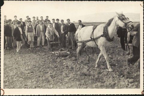Lot 03154