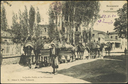 Lot 02115