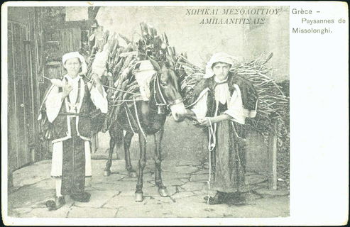 Lot 02163