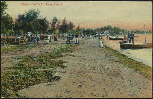 Lot 01446