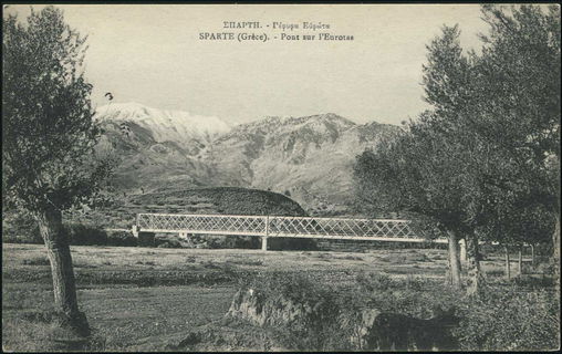Lot 01545