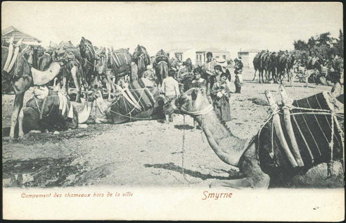 Lot 01680