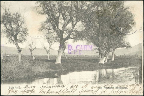 Lot 02105