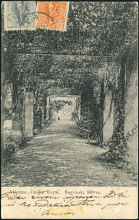 Lot 01503