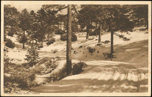 Lot 08855