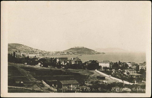 Lot 01942