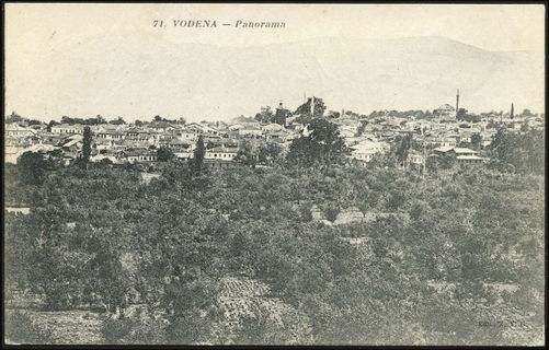 Lot 03452