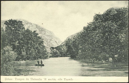 Lot 01619