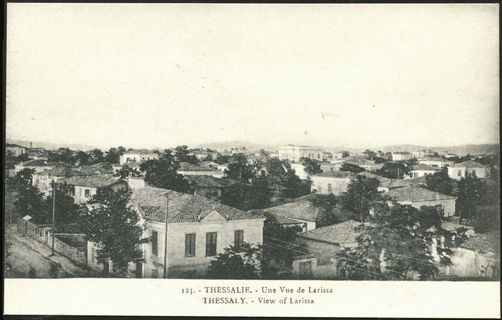 Lot 01575