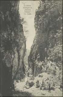Lot 02465