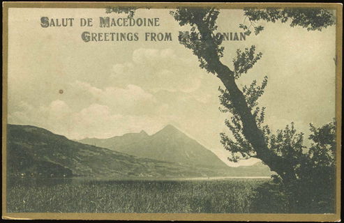 Lot 03443