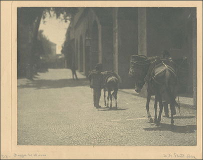 Lot 08557