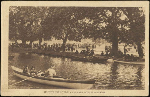 Lot 02313